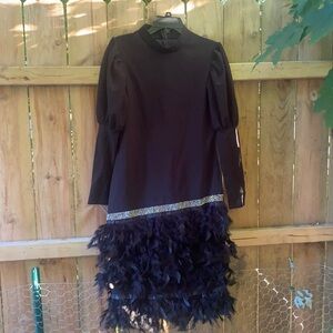 Elegant Black Feathered Dress